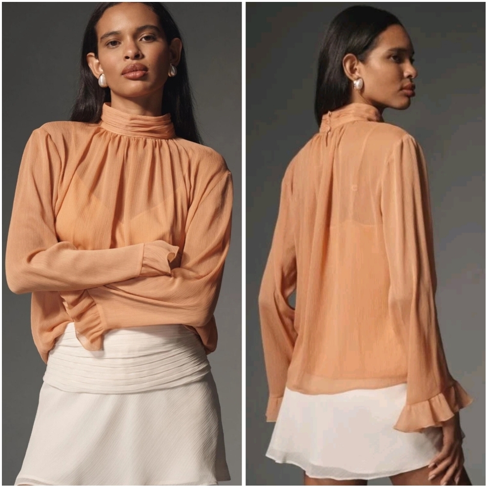 Anthropologie Long Sleeve High Neck Sheer Blouse Pink Large